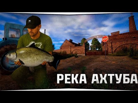 Видео: Буффало большеротый • Турнир на реке Ахтуба • Русская Рыбалка 4