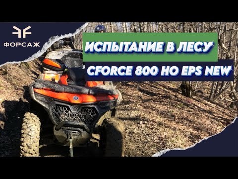 Видео: Тест и обзор нового квадроцикла CF MOTO CFORCE 800 HO EPS NEW