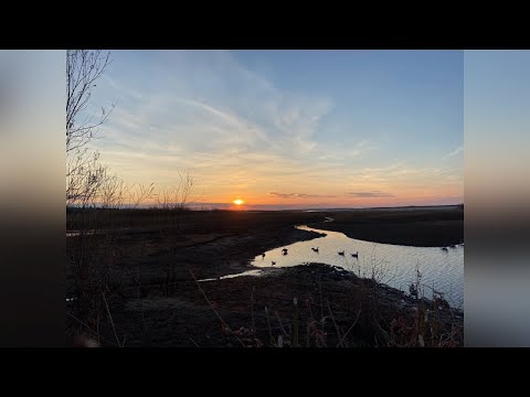 Видео: Охота Саха Якутия / красивые налёты / охота на гуся / быт
