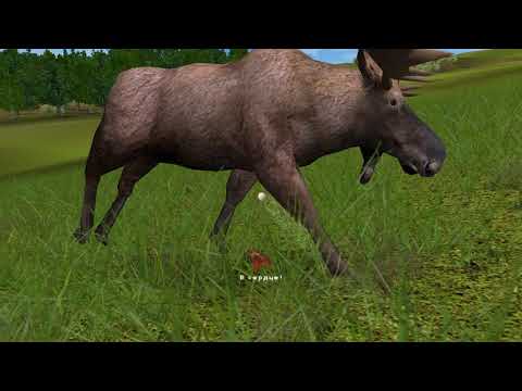 Видео: Hunting Unlimited 2010:Опасные пумы.