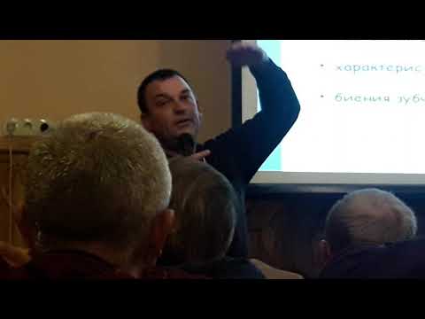 Видео: Андрей Шульгин  Скрипт CSS