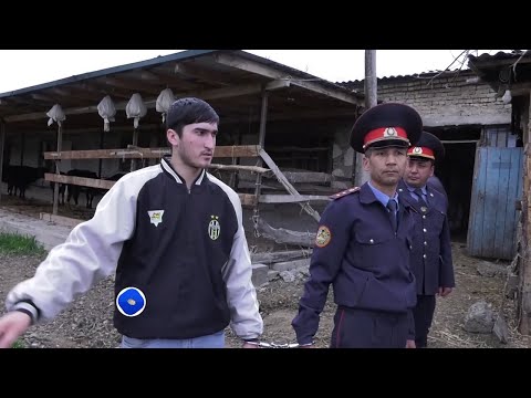 Видео: Қисми пурраи Милитсия хабар медиҳад №07 22.04.2024