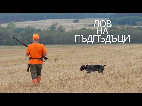 Видео: Лов на пъдпъдък- 💥Отгърмяхме си💥