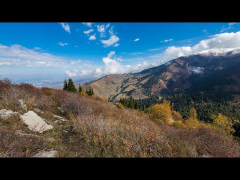 Видео: Отель Кумбель - гора Смотровая