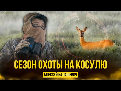 Видео: Сезон охоты на косулю открыт! #охота #спектроптик #трофей #технологииохоты #косуля #hunting #hunt