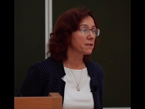 Видео: Археологические исследования Каменной балки II в 2019 г.