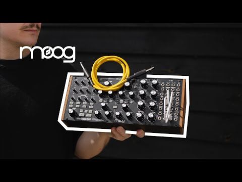 Видео: Moog Subharmonicon обзор