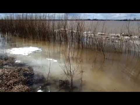 Видео: Фирзәр Мортазин - Язлар килә, язлар...