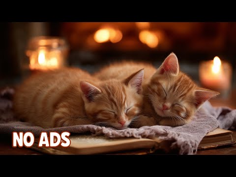 Видео: Успокаивающие Звуки для Сна Кошек 🐾🎵 Музыка для Снятия Стресса и Тревоги
