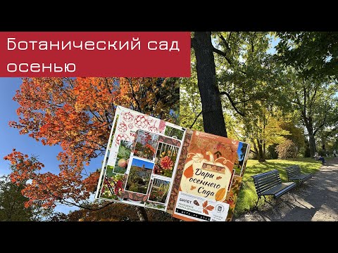 Видео: Осенняя прогулка в Ботаническом саду