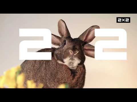 Видео: Рестарт эфира в день траура 2х2 (24.03.2024)