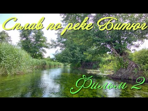 Видео: Сплав по реке Битюг. 8 дней на чистейшей реке. Фильм 2.