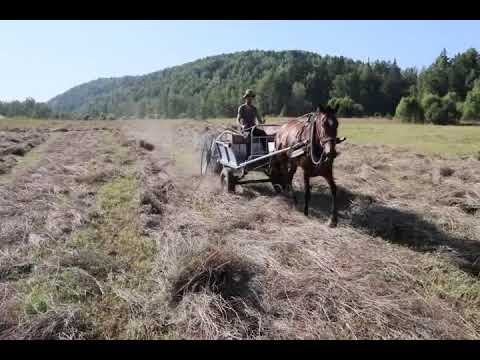 Видео: Поворошили