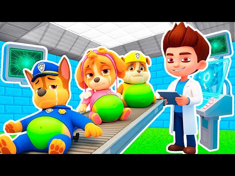 Видео: РАЙДЕР EXE  БЕЗУМНЫЙ УЧЁНЫЙ СОЗДАЁТ ЗОМБИ ЩЕНЯЧИЙ ПАТРУЛЬ в МАЙНКРАФТ