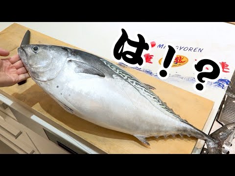 Видео: В углу рынка продавалась странная рыба, похожая на пингвина.