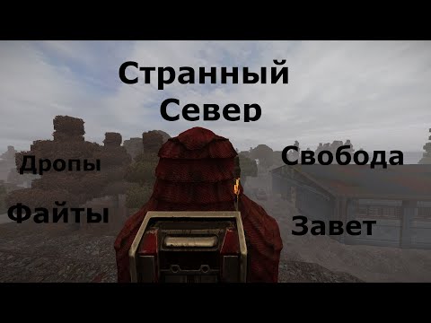 Видео: STALCRAFT Странный Север.