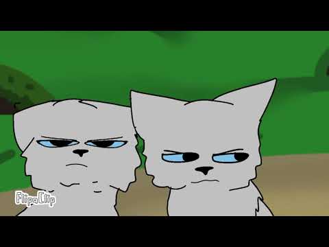 Видео: Дикие коты. "Пленница". Часть 4.