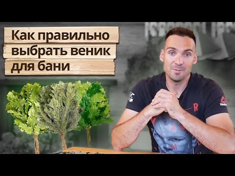 Видео: Как выбрать веник для бани? / Какие бывают веники?