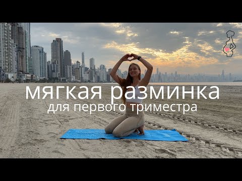 Видео: ПЕРВЫЙ ТРИМЕСТР БЕРЕМЕННОСТИ / МЯГКАЯ ТРЕНИРОВКА БЕЗ ПРОТИВОПОКАЗАНИЙ
