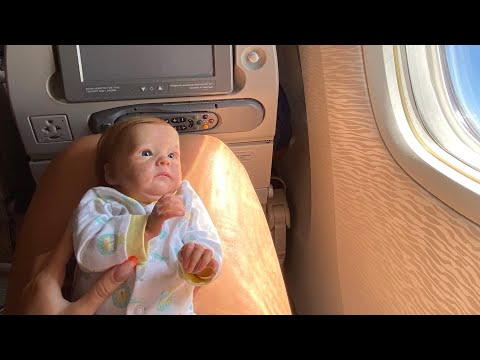 Видео: С РЕБОРНОМ В САМОЛЕТЕ и ОБЗОР НАШЕГО НОМЕРА В ОТЕЛЕ RIU BAMBU В ДОМИНИКАНЕ, HOMECOMING WITH REBORN