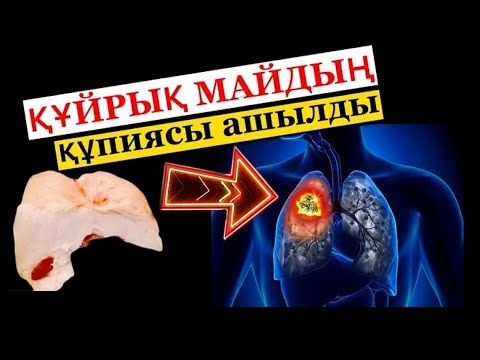 Видео: ҚҰЙРЫҚ МАЙДЫҢ сіз білмейтін құпиясы қандай? Құйрық майдың таптырмас емі.