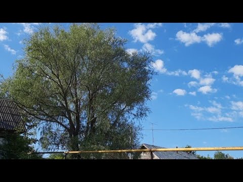 Видео: Навожу немного уюта в доме❤️