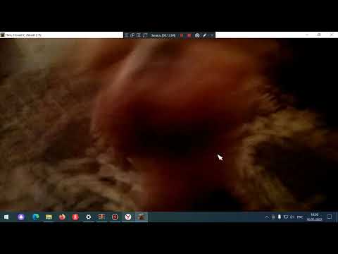 Видео: (Пять Ночей С Лёней 2)(день 4,5,6 пройдено+все концовки+дополнительно)(майские фнаф фан игры)