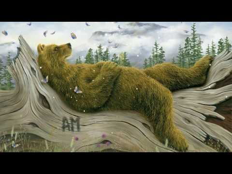 Видео: Медитация Джо Диспенза. 2-я неделя. (шаги 1-4) САМАЯ АДЕКВАТНАЯ версия на русском youtube.