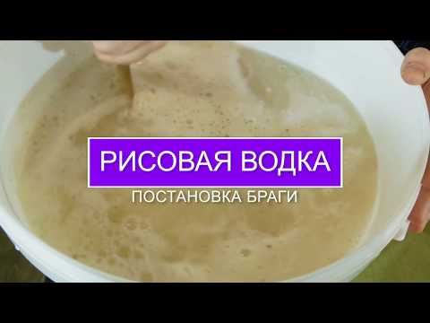 Видео: Рисовая водка!!! Ставим брагу с добавлением дрожжей Кодзи