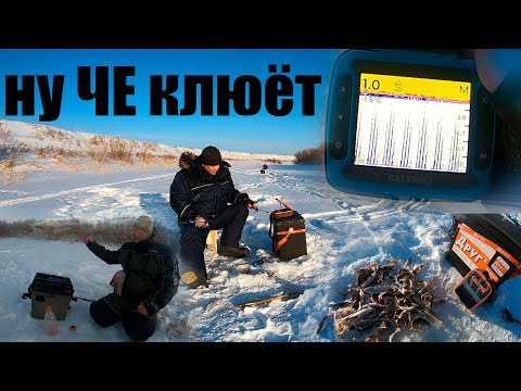 Видео: ЧЕ САНЬ КЛЮЁТ??? НО!!!! У МЕНЯ ТОЖЕ КЛЮЁТ!!!