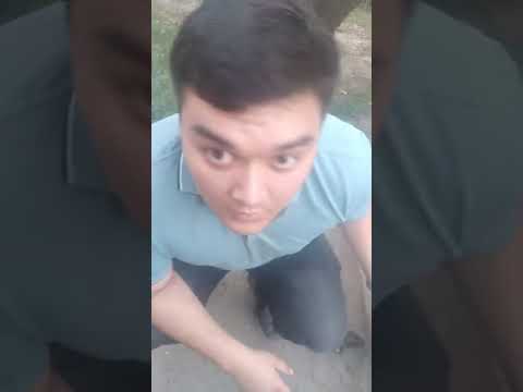 Видео: Высокие обороты холостого хода 2800, 3000 на АУДИ А4 Б5, объем 2,6. причина и устранение.