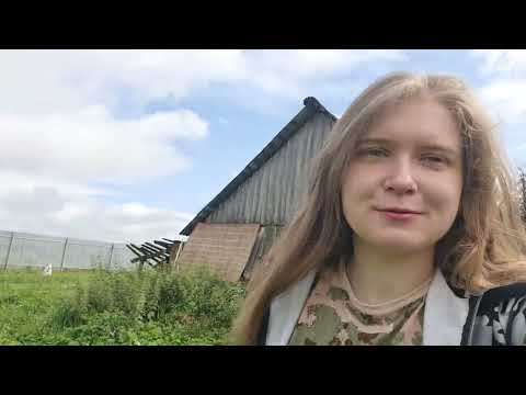 Видео: Давно затерянные новости из центра / архив август 2025