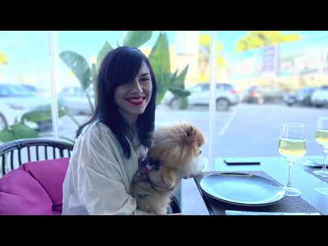 Видео: Одежда и обувь для шпица. Удачные и НЕУДАЧНЫЕ покупки. Что собаке точно не стоит покупать