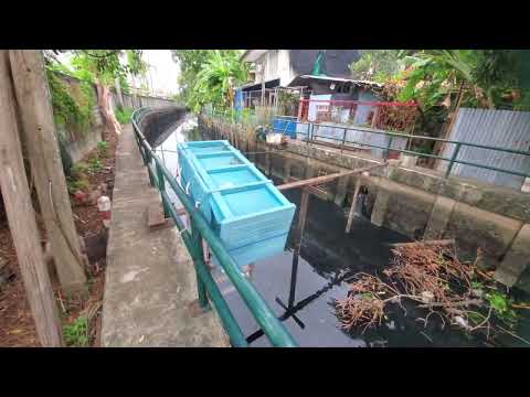 Видео: КАК ЖИВУТ В БЕДНОМ РАЙОНЕ БАНГКОКА