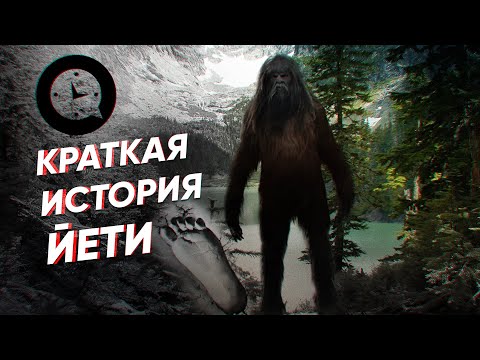 Видео: Краткая история йети: загадка снежного человека