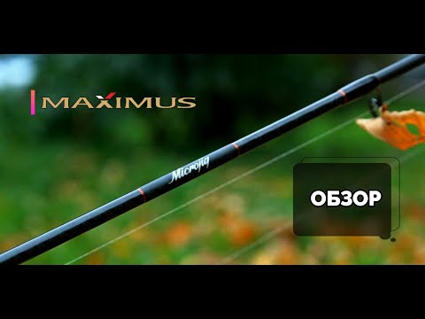 Видео: Обзор Maximus Gravity Microjig. Спиннинг для микроджига.