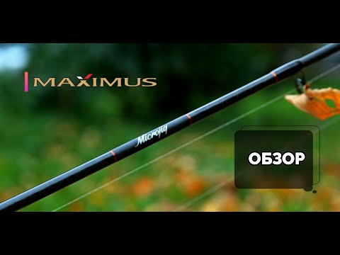 Видео: Обзор Maximus Gravity Microjig. Спиннинг для микроджига.