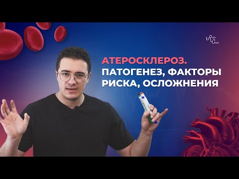 Видео: Атеросклероз  Патогенез, факторы риска, осложнения