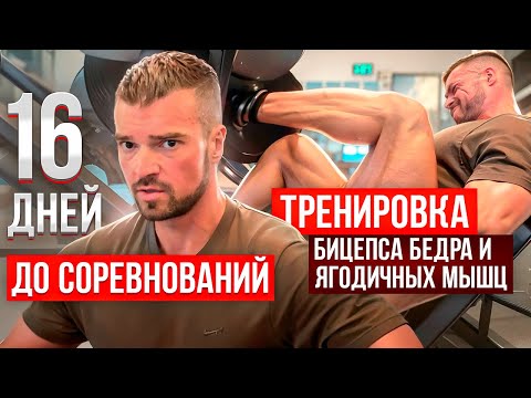 Видео: Тренировка ног за 2 недели до соревнований - Александр Титов