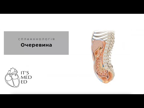 Видео: Очеревина