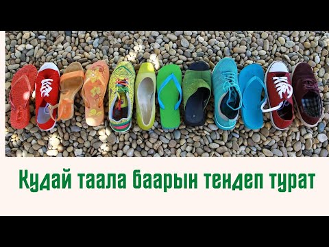 Видео: #СырдууДүйнө Тема: Кудай таала баарын тендеп турат