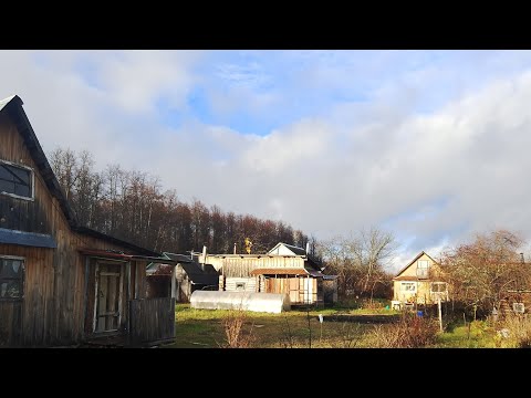 Видео: Выезд на дачу 07.11.25