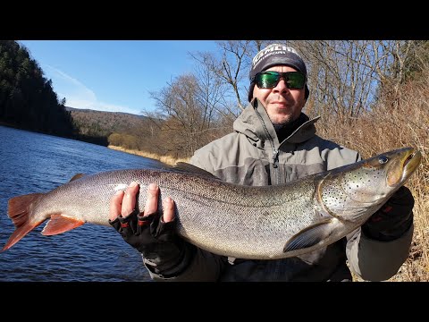 Видео: Рыбалка. Таймень. Хабаровск, река Хор, 2019