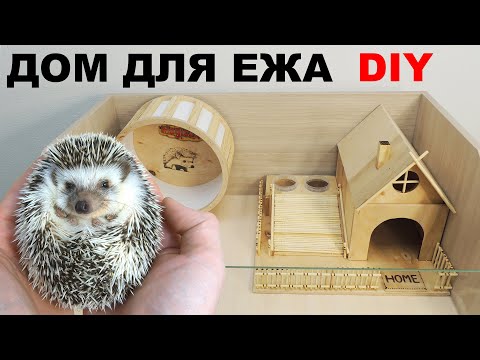 Видео: Карликовый ёж. Как сделать идеальную клетку для африканского ежа | Hedgehog house DIY.