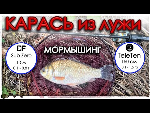 Видео: Карась из лужи. Мормышинг. Sub Zero. Tele Ten 150.