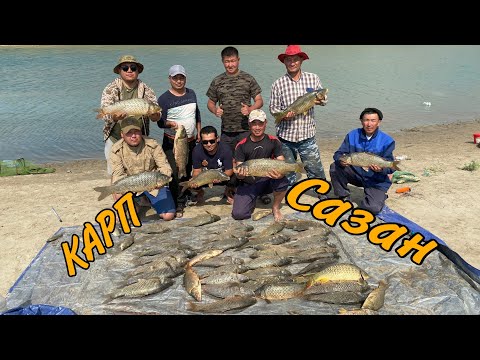 Видео: АҚЛАҚ ( 3-СЕРИЯ ) САЗАНДАР. ШАШЛЫК. САЗАНДАР КӨП. САЗАН. СЫРДАРИЯ ТАРТЫЛЫП ЖАТЫР.