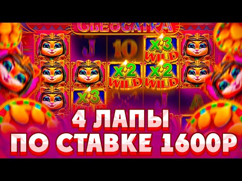 Видео: ПОЙМАЛ 4 ЛАПЫ ПО СТАВКЕ 1600Р В CLEOCATRA/ СЛОВИЛ 1000X ПО СТАВКЕ 385Р (Я ВЕРИЛ ДО КОНЦА!!!)