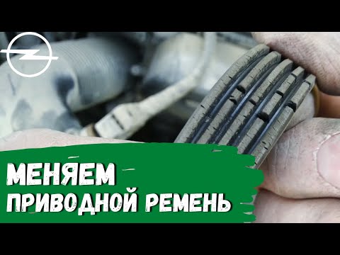 Видео: Opel Astra H. Замена приводного ремня (ремня генератора)