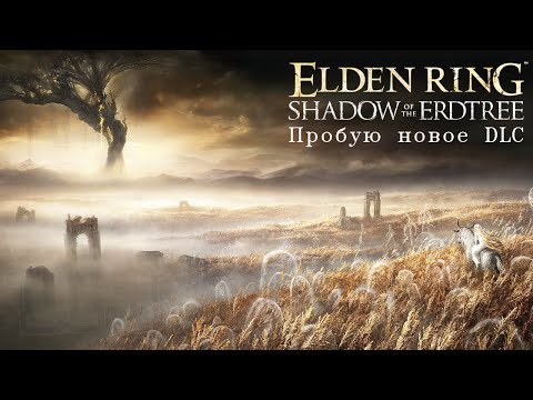 Видео: Elden Ring Shadow of the Erdtree. Пробую поиграть в новое DLC. Часть 1
