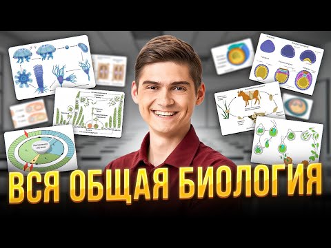 Видео: ВСЯ ОБЩАЯ БИОЛОГИЯ за 7 часов | Марк Ламарк | 100балльный репетитор